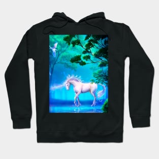 fairy unicorn Hoodie